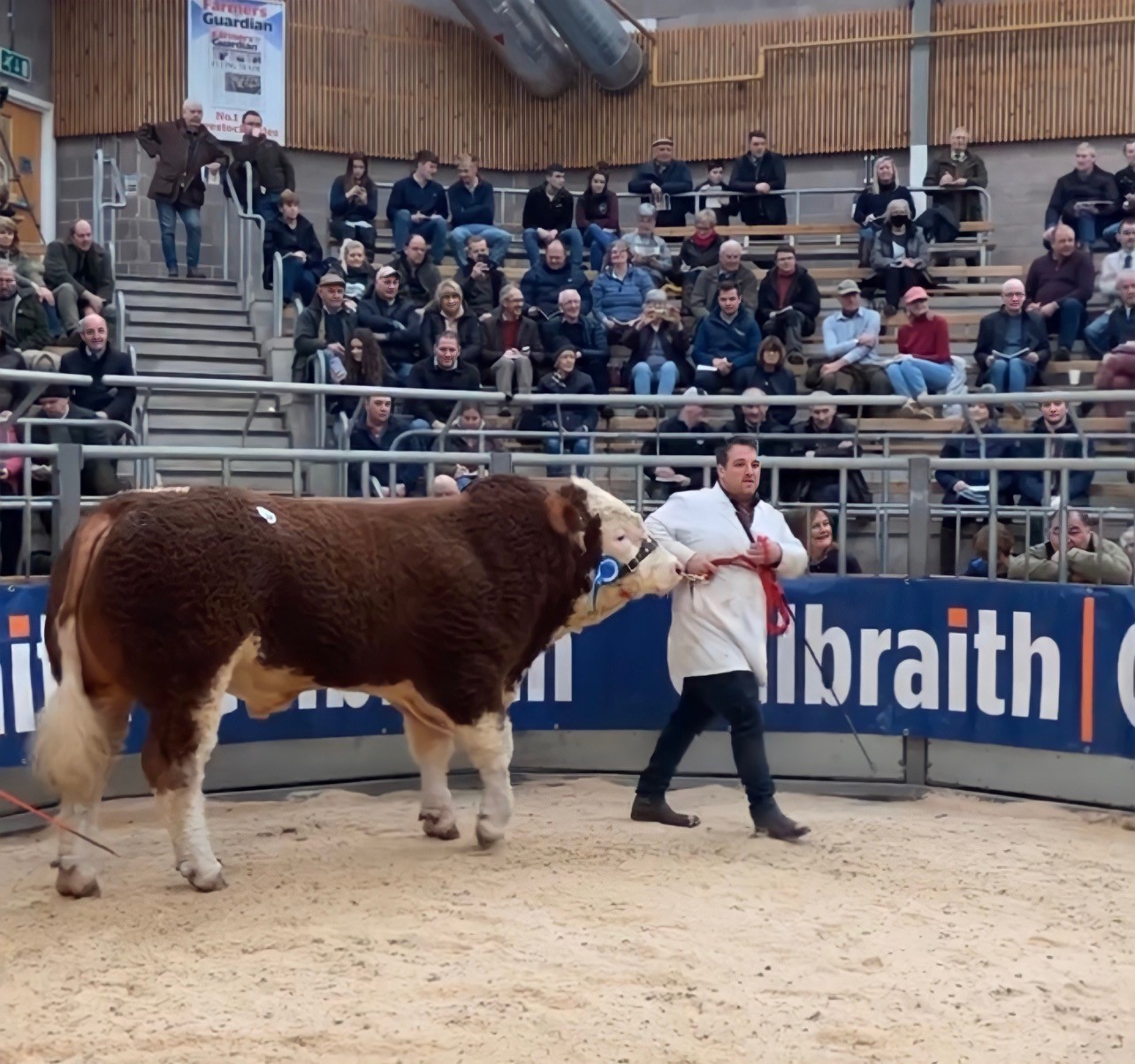Denizes Lancelot tops Simmentals at 30,000gns - Vimarsana News