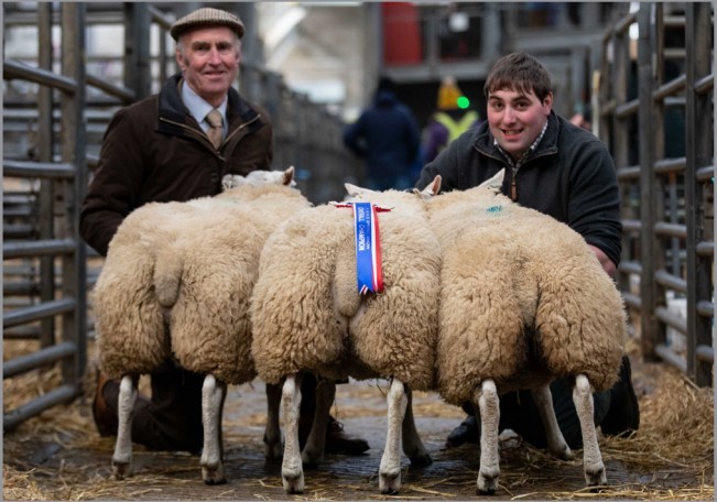 Champion breeding sheep at the last Royal Northern Spring Show in 2020, Beltex crosses from Willie and John Brown (right) pictured with the judge, James Warnock (left)