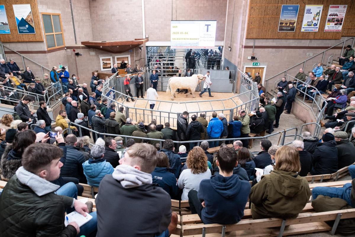 Buyers and spectator gather round the ring for the sale of Charolais bulls where the price topped at 24,000gns   Ref:RH220222051  Rob Haining / The Scottish Farmer...
