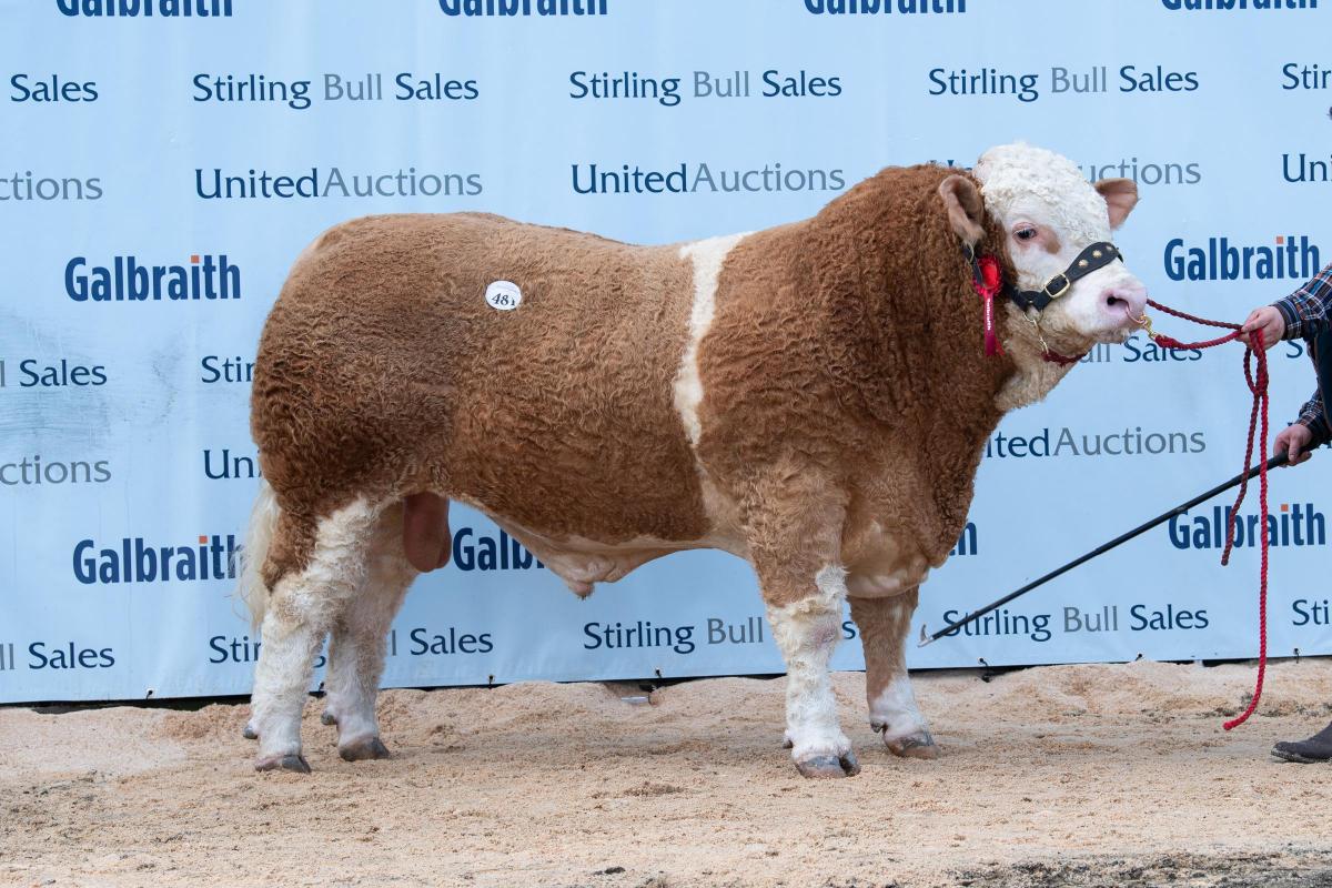 Denizes Lord from the Barlows sold 9500gns  Ref:RH210222075  Rob Haining / The Scottish Farmer...