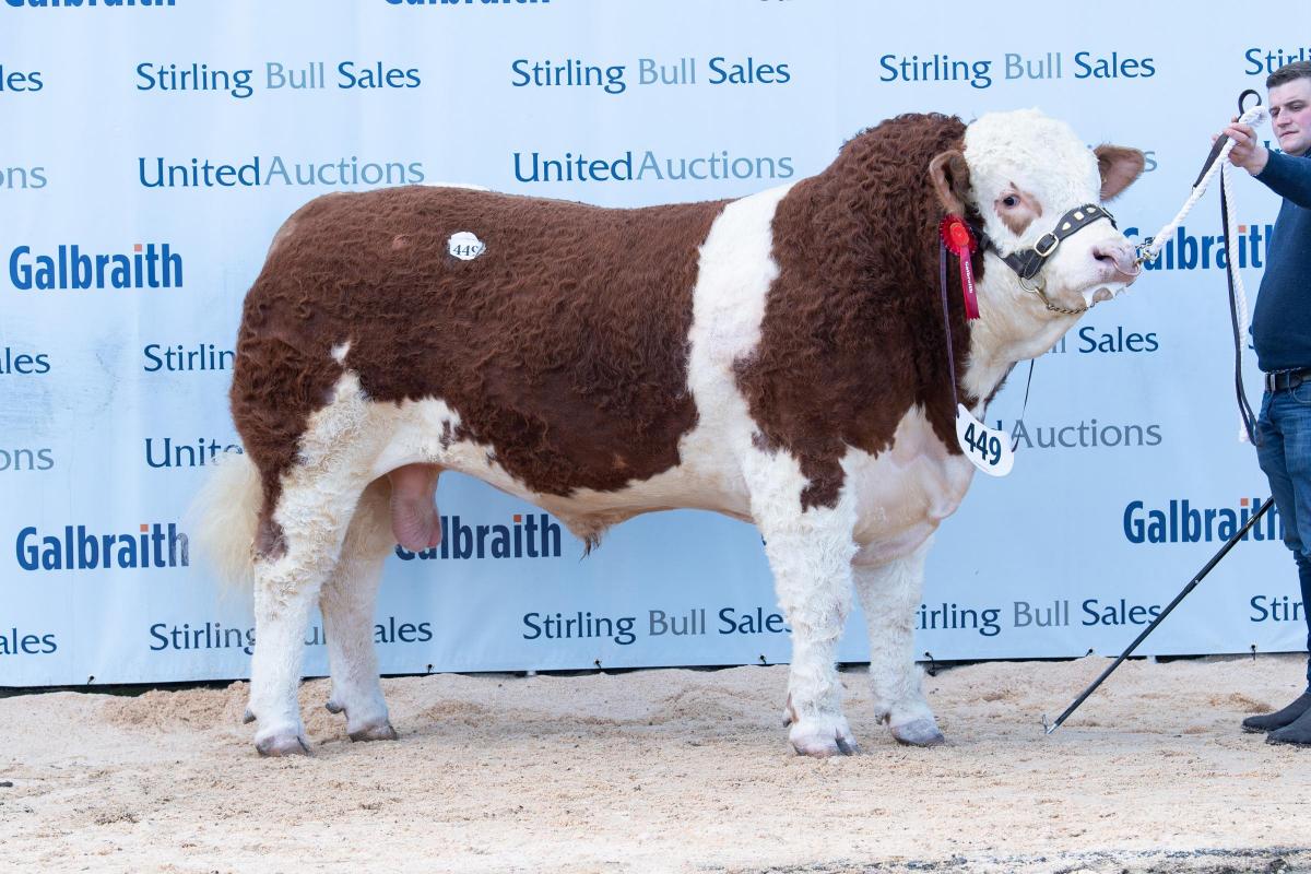Popes Lucifer from the Woods sold for 7500gns  Ref:RH210222069  Rob Haining / The Scottish Farmer...
