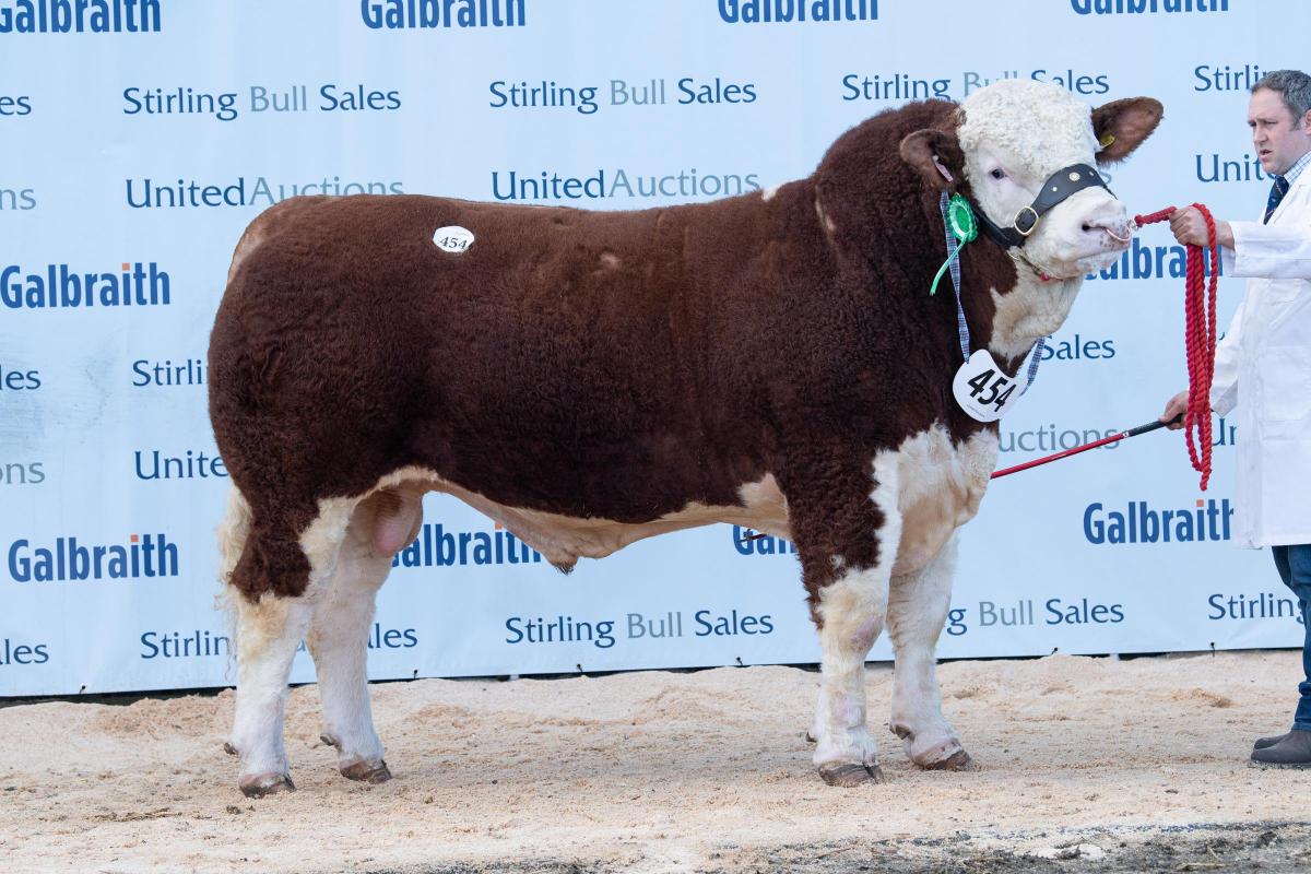 Gary and Angela Christie sold Rockytop Lacoste for 7500gns  Ref:RH210222070  Rob Haining / The Scottish Farmer...