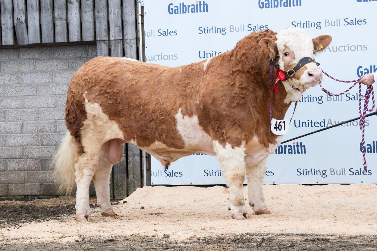 Ballinlare Farm Legacy from J and A Wilson sold for 10,000gns  Ref:RH200222116  Rob Haining / The Scottish Farmer...