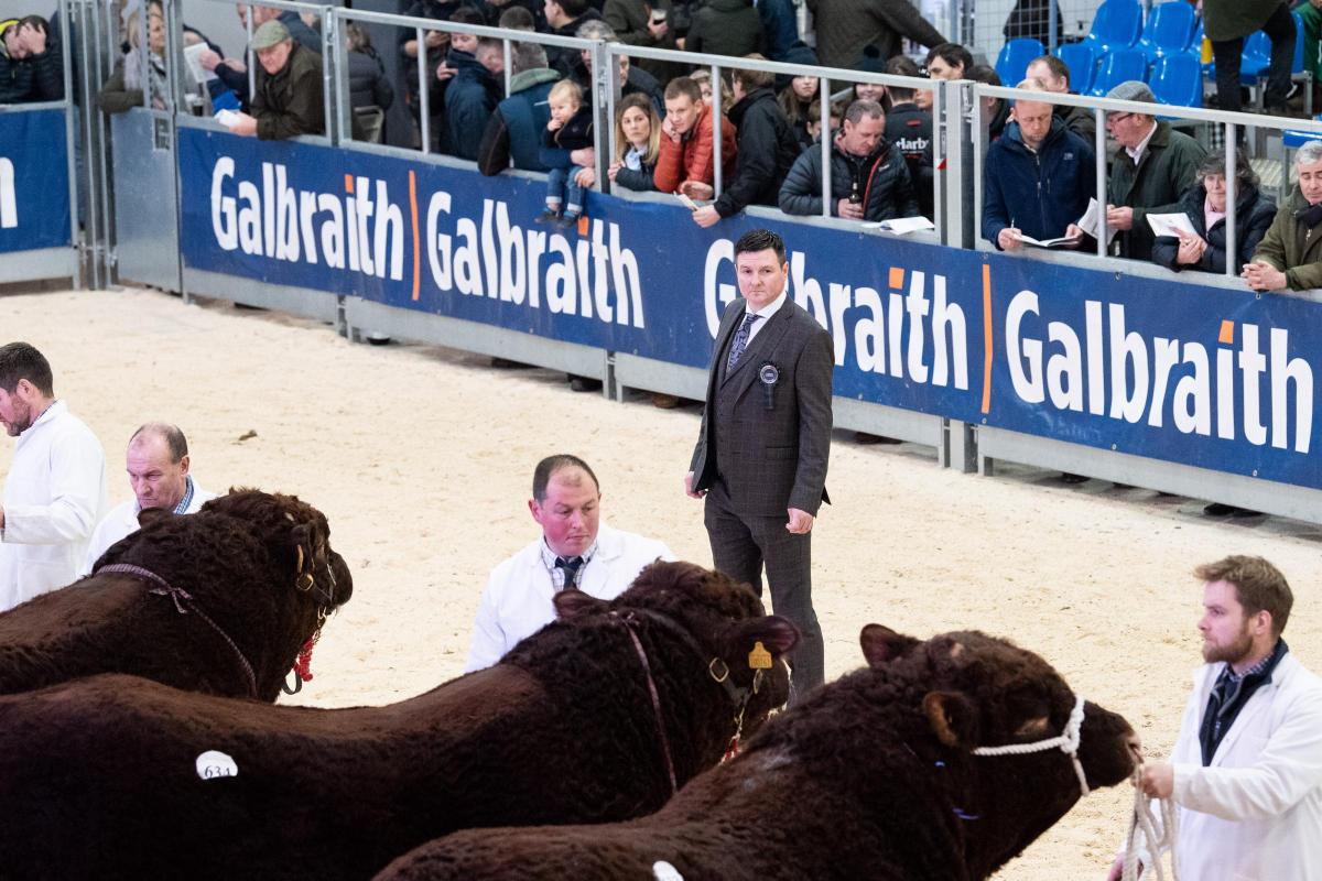 Spectators watch on as Seamus Nagle judges the Salers at Stirling
  Ref:RH200222122  Rob Haining / The Scottish Farmer...