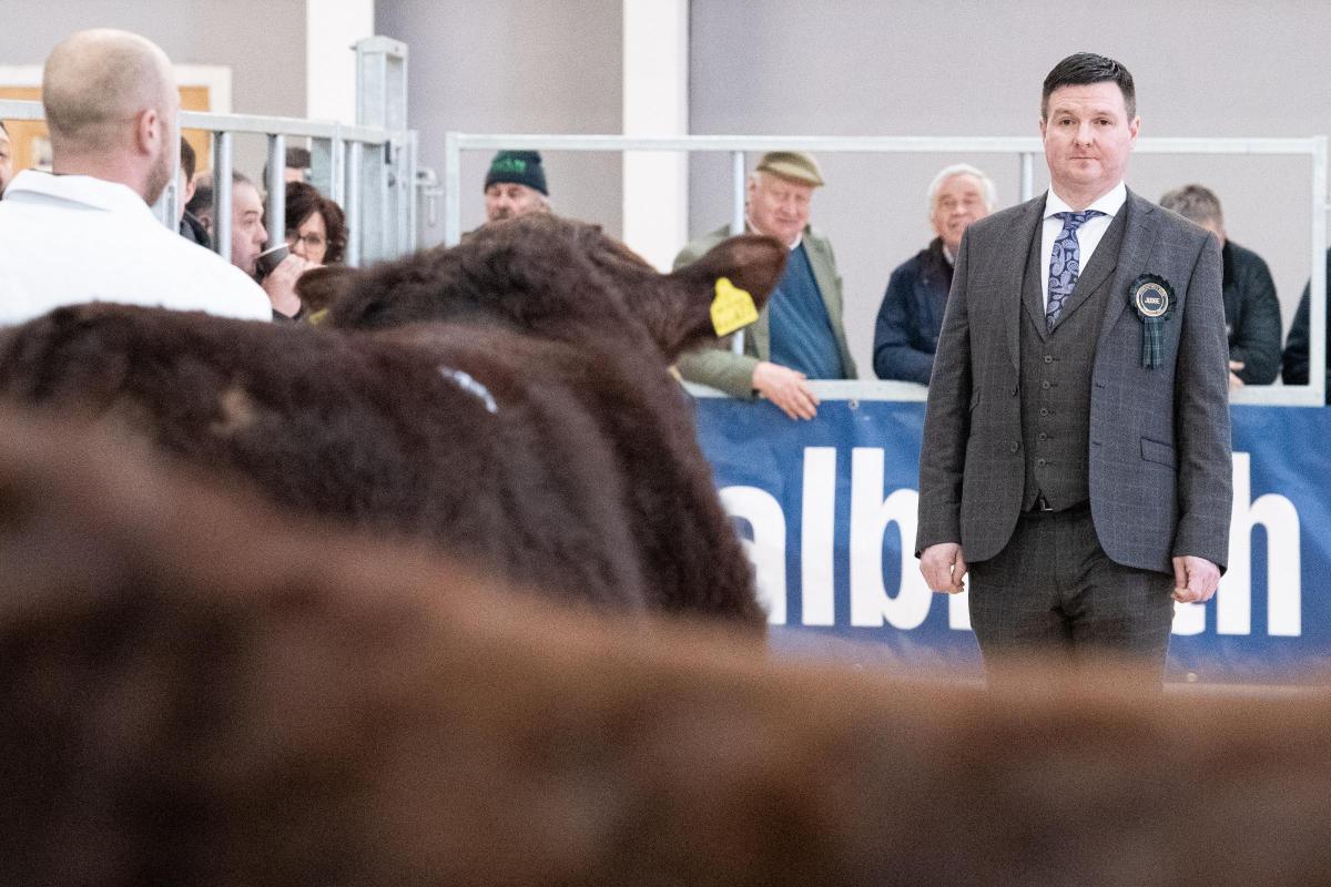 Spectators watch on as Seamus Nagle judges the Salers at Stirling 
  Ref:RH200222119  Rob Haining / The Scottish Farmer...