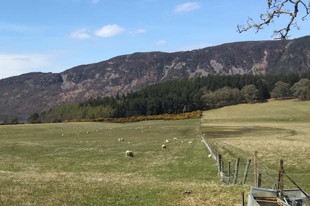 The transition to net zero and the focus on meeting Scotland’s 2045 climate targets has sharpened attention on the capacity of land and land management activities to lock up carbon in the soil or in vegetation growing on the land