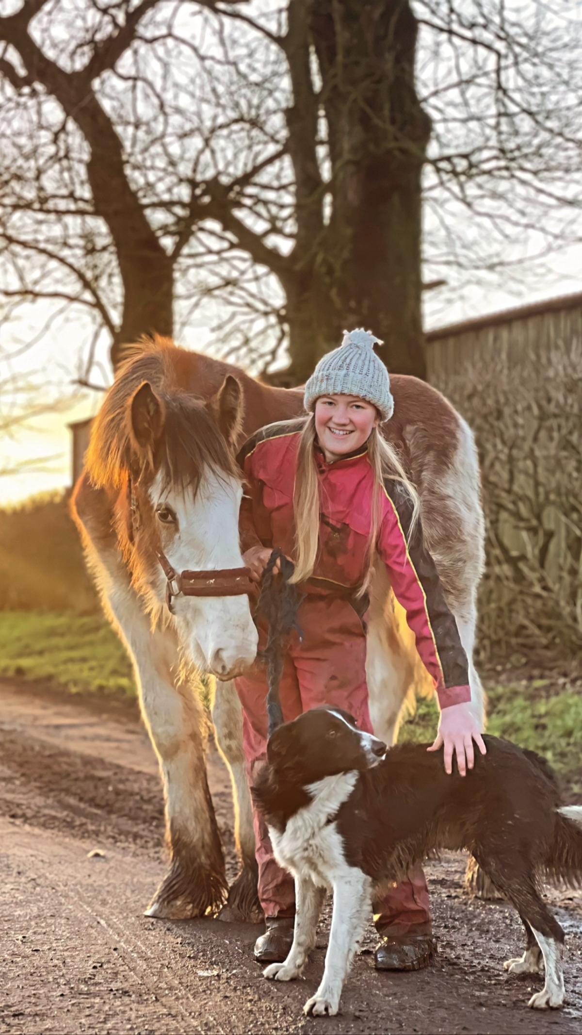 Islay Henderson (Auchenrivouch Farm) - enjoying a winters evening stroll with her Clydesdale foal, Wullie Young, and her trusty collie dog, Rook.