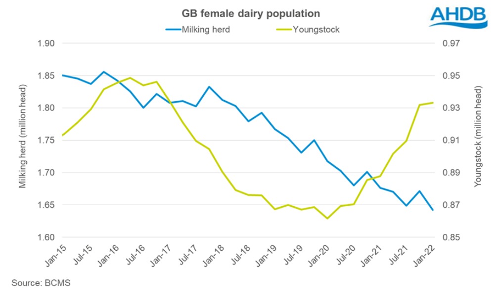 GB milk yields are down on the year
