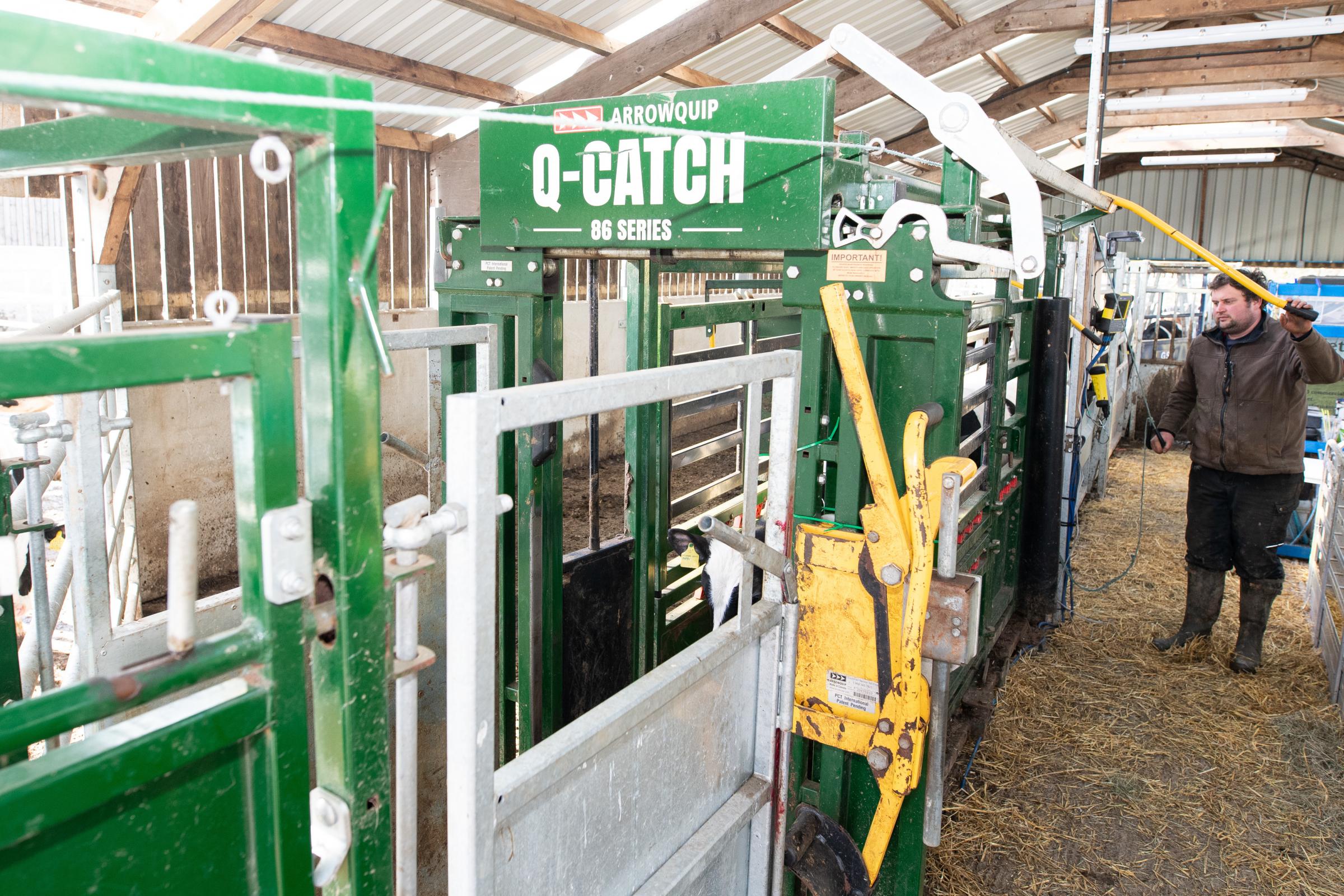 Best investment has been the Q-Catch crush with shedding gate and adjustable races Ref:RH150322079 Rob Haining / The Scottish Farmer...