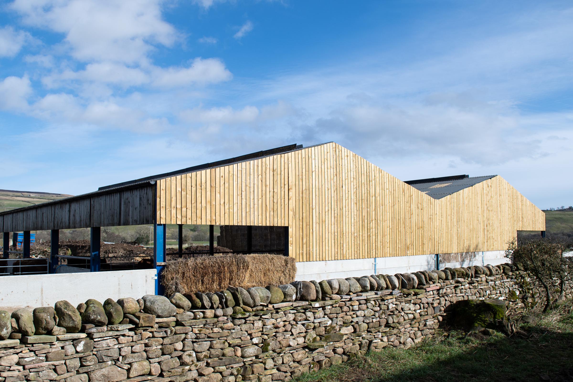 New shed which is being used to house the cows that are due to calf Ref:RH150322060 Rob Haining / The Scottish Farmer...