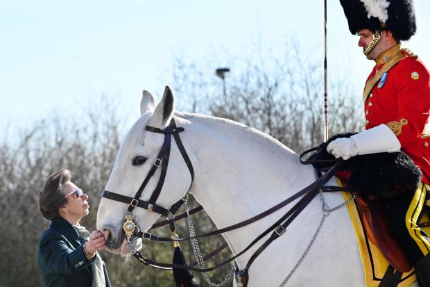 Her Royal Highness met Ceremonial greys ridden by the Scots Dragoon Guards at the official opening of The British Horse Society's first Operational Hub in Scotland