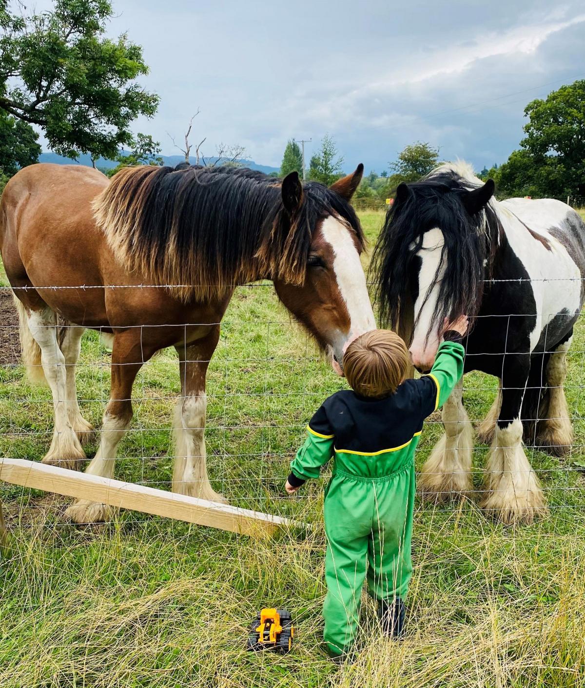 Dawn Holmes - My little one stopping for a pat of the ponies while out on the farm playing with his toy tractor.