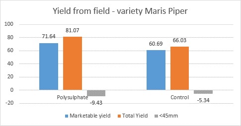 In this trial Polyphosphate boosted marketable yield by 18% compared to the control