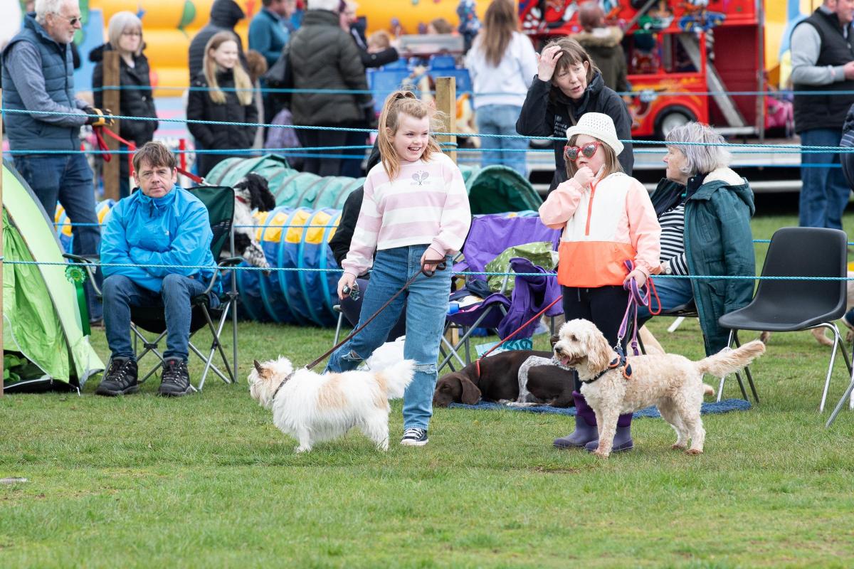 The Dog show proved popular at Kilmaurs  Ref:RH160422067  Rob Haining / The Scottish Farmer...