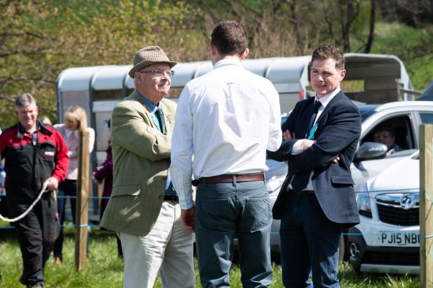 The Scottish Farmer: Judges Jim Brown, Jake Sayer and Alexander Park deliberating what animal to make overall show champion Ref:RH270422066 Rob Haining / The Scottish Farmer...