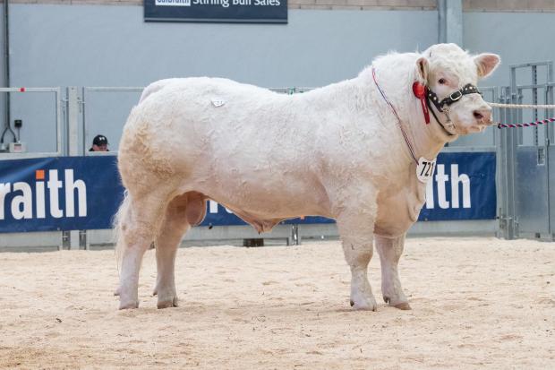 The Scottish Farmer: Sale topper at 14,000gns was Glenericht Robert from the Drysdales Ref:RH020522077 Rob Haining / The Scottish Farmer...
