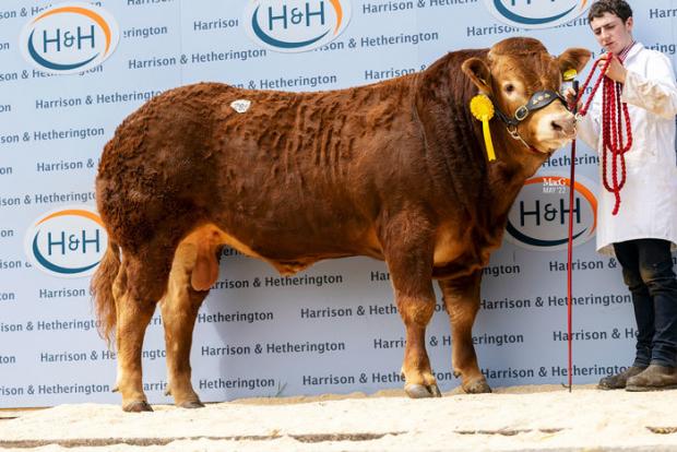 The Scottish Farmer: Pointhouse Rumble achieved 10,000gns 
