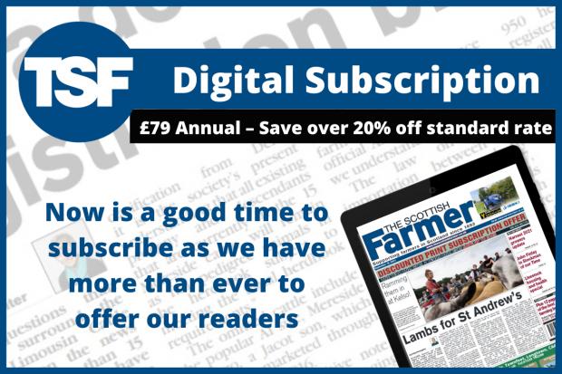 Our latest digital subscription offer