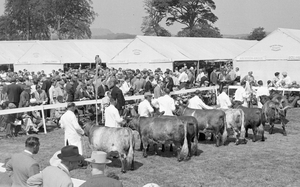 Highland Show Judging Rings, Ingliston, 10th June 1960.