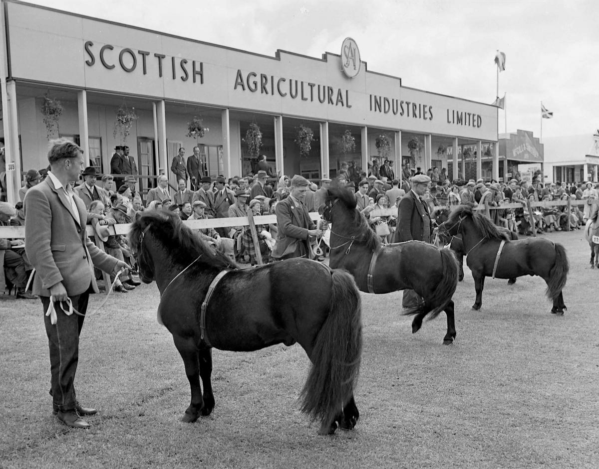 Highland Show, Kelso, 1952.
