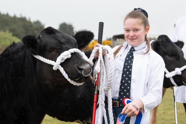 The Scottish Farmer: Sienna Nisbet is all smiles as Moonlight gets tapped out as beef champion at Dundonald show Ref:RH300422024 Rob Haining / The Scottish Farmer...