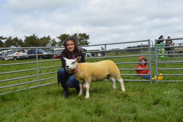 The Scottish Farmer: This Texel ewe lamb stood overall sheep champion for Ann Wright 