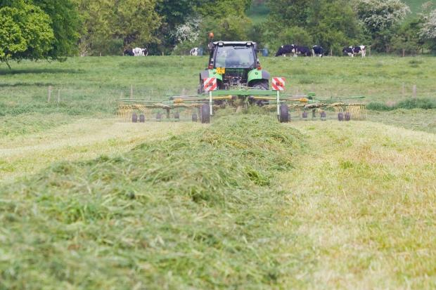 TOP TIPS optimising grassland productivity needs a focussed approach