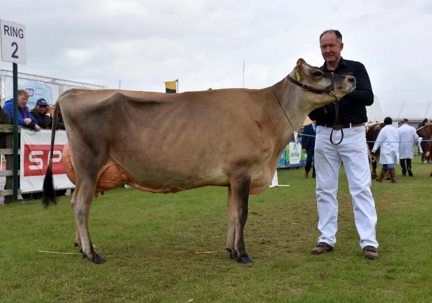 The Scottish Farmer: Inter-breed dairy champion, was the Jersey Potterswalls Bontino Dawn from the Fleming family
