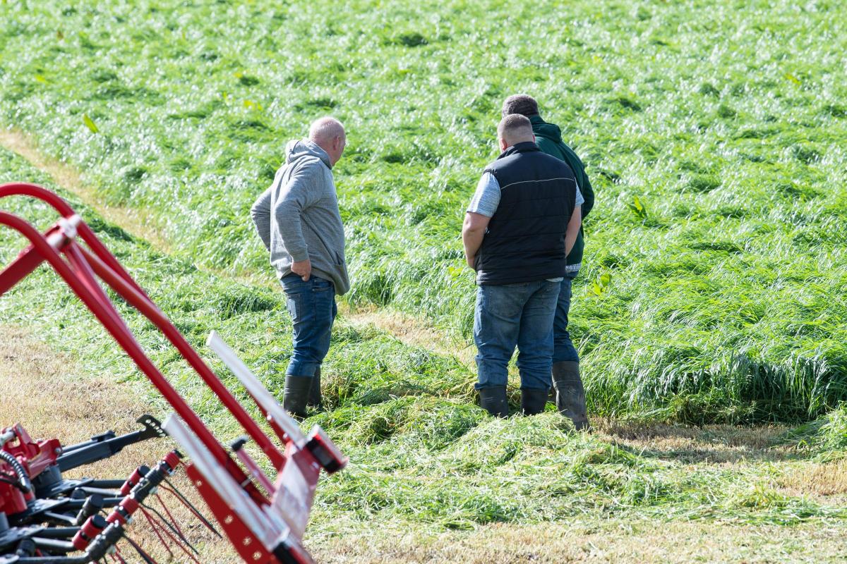 Some potential customers inspecting the quality and cut of silage on display at Scotgrass   Ref:RH180522189  Rob Haining / The Scottish Farmer...