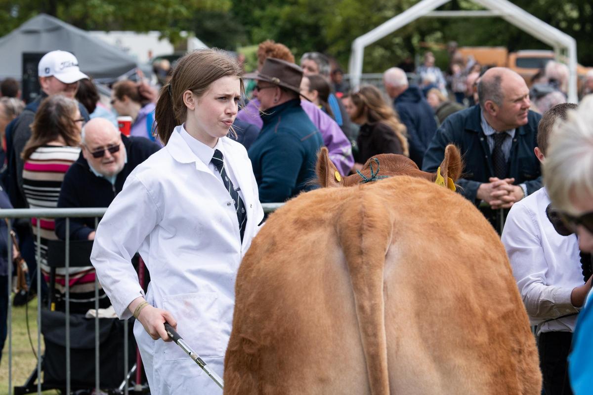 Beth Thomson keeps on eye on the judge during the young handlers competition  Ref:RH210522341  Rob Haining / The Scottish Farmer...