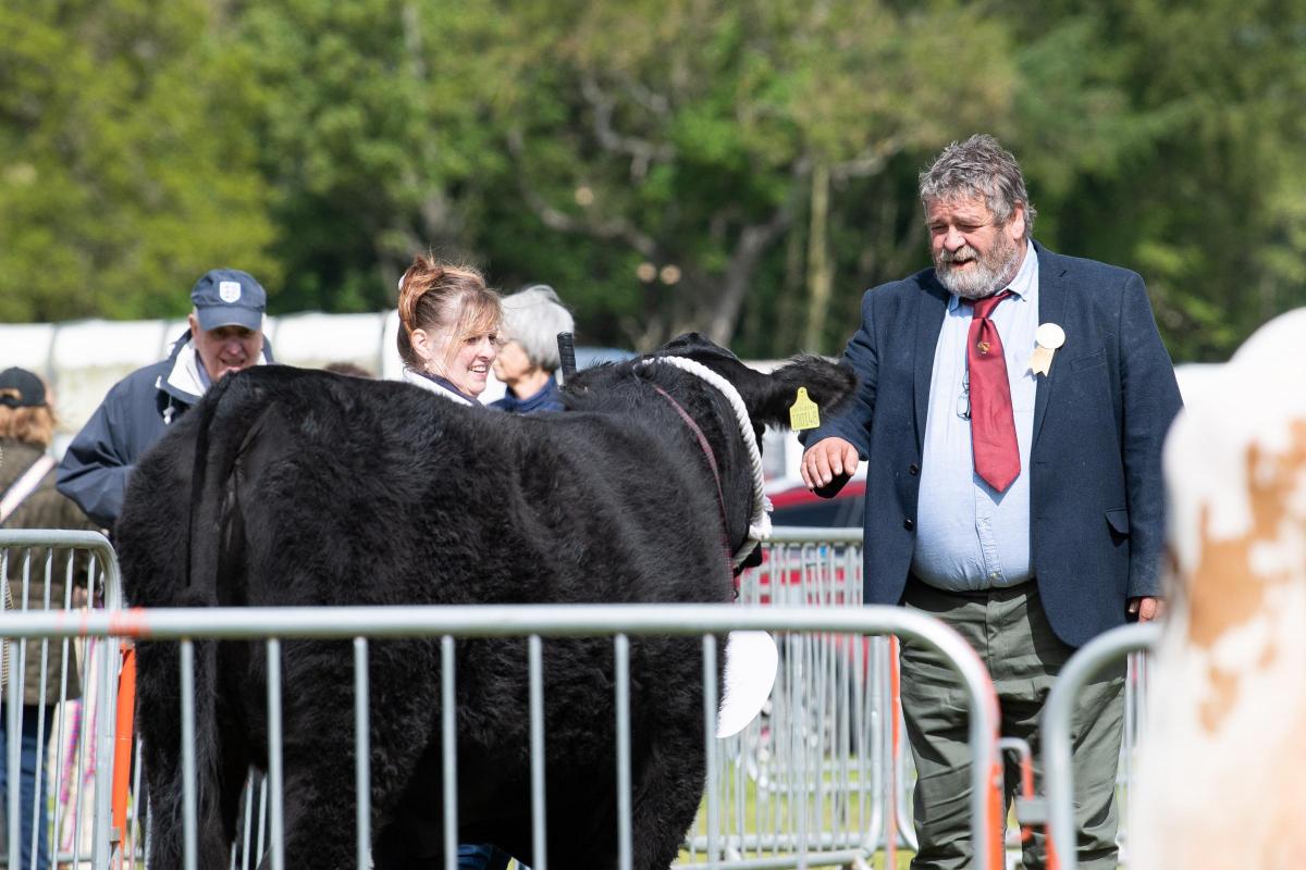 David Walker casts his eye over the Aberdeen Angus classes at Fife show  Ref:RH210522331  Rob Haining / The Scottish Farmer...