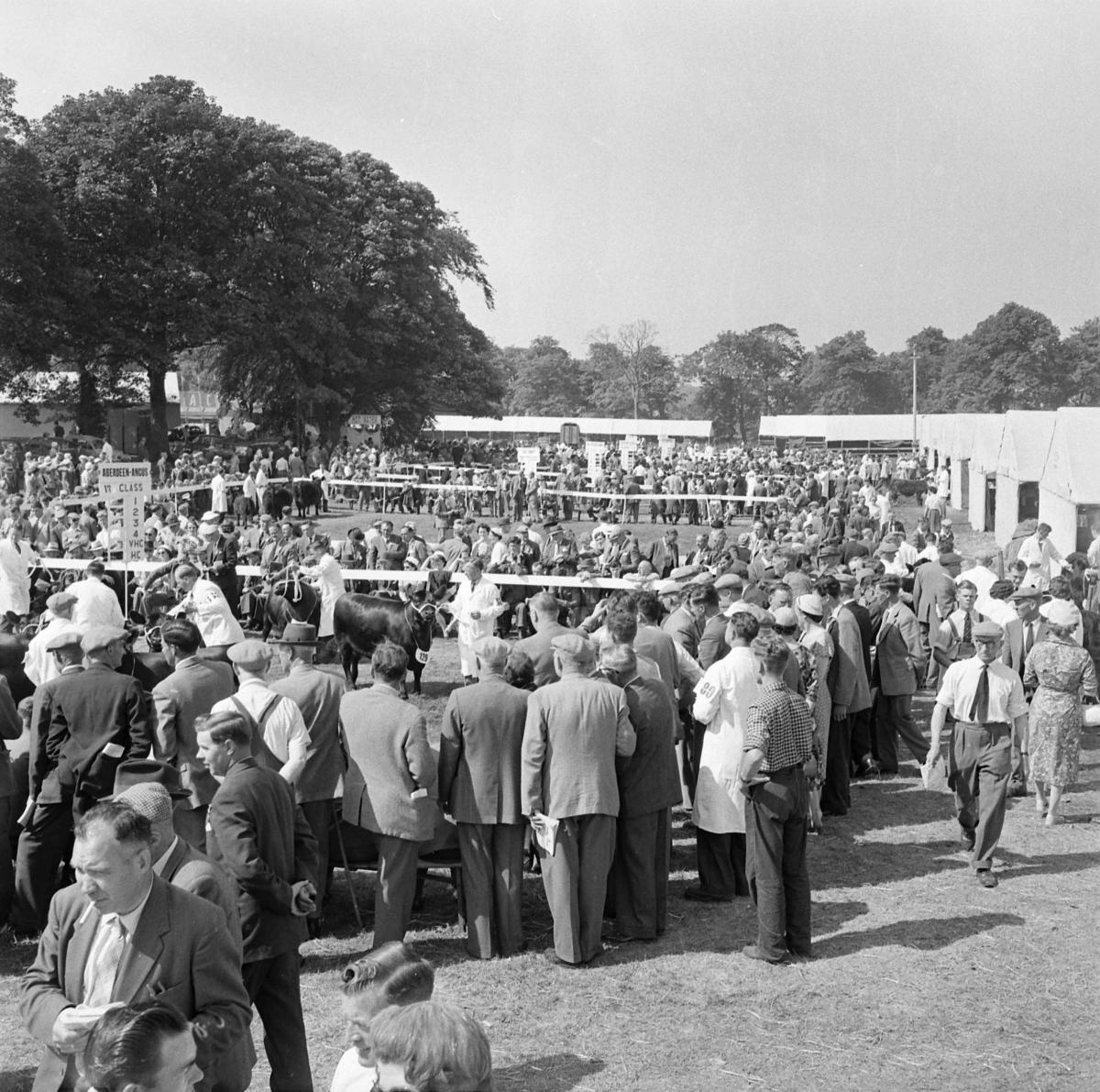 Royal Highland Show (Snapshots) Ingliston, Midlothian 21st to 24th June 1960.