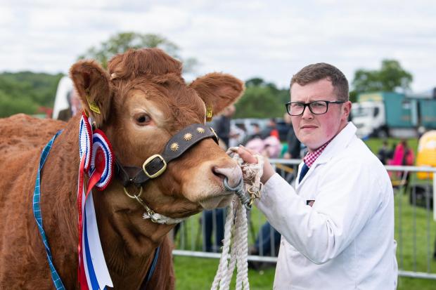 The Scottish Farmer: John Graham and Drymen show champion of champions Burnbank Rhapsody Ref:RH280522124 Rob Haining / The Scottish Farmer...