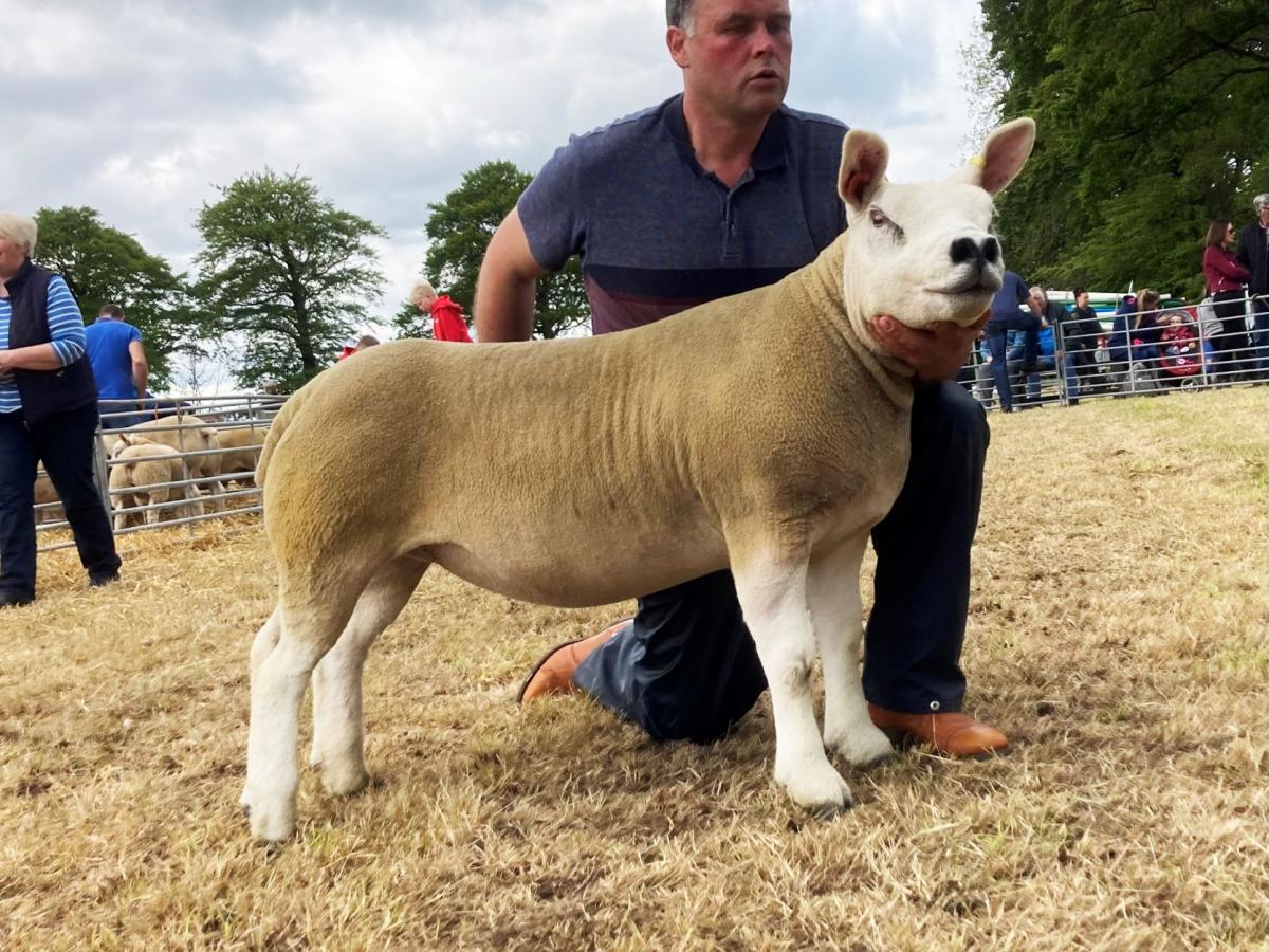 Alan Clark's Texel champion and overall chamion of champions