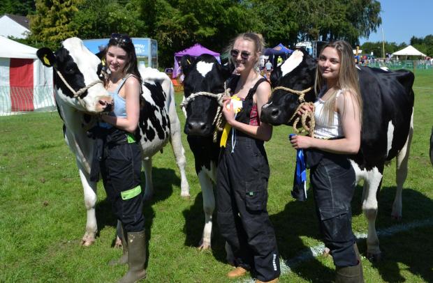 The Scottish Farmer: The YF dairy handlers section was won by Emma Heywood, right.
