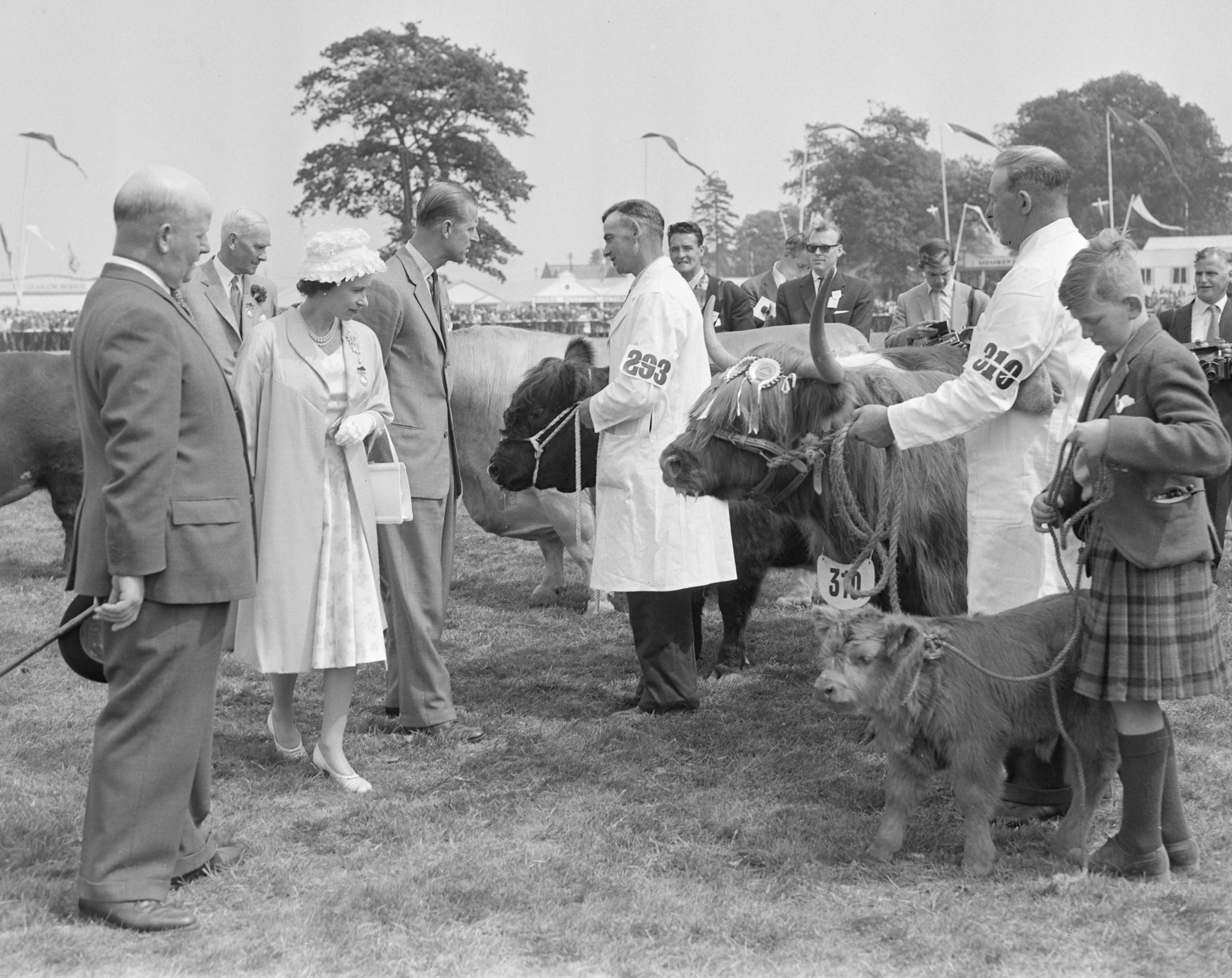 At the first Royal Highland Show at its new permanent base of Ingliston House, in 1960, HM The Queen took a keen interest in the winning stock