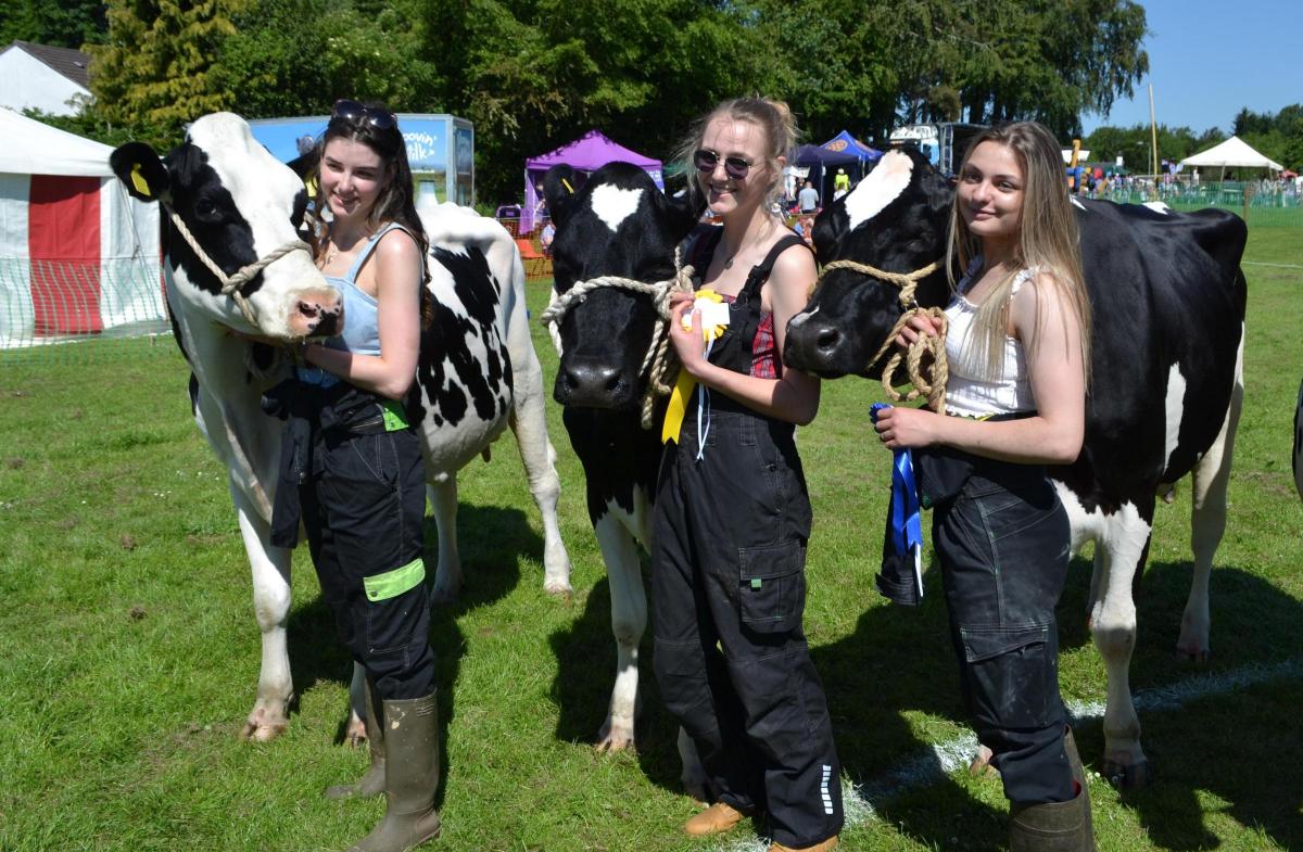 The YF dairy handlers section was won by Emma Heywood, right