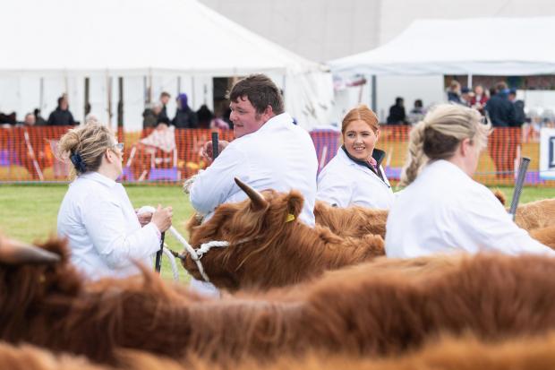 The Scottish Farmer: Catching up with the chat in the Highland cattle ring at Stirling Show Ref:RH110622179 Rob Haining / The Scottish Farmer...