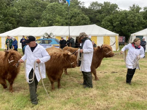 The Scottish Farmer: Team Scooby lead out their Highlanders