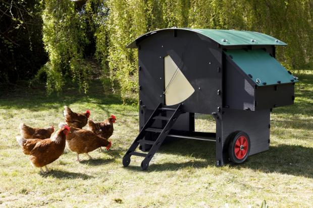 A back garden chicken coop made of recycled plastic