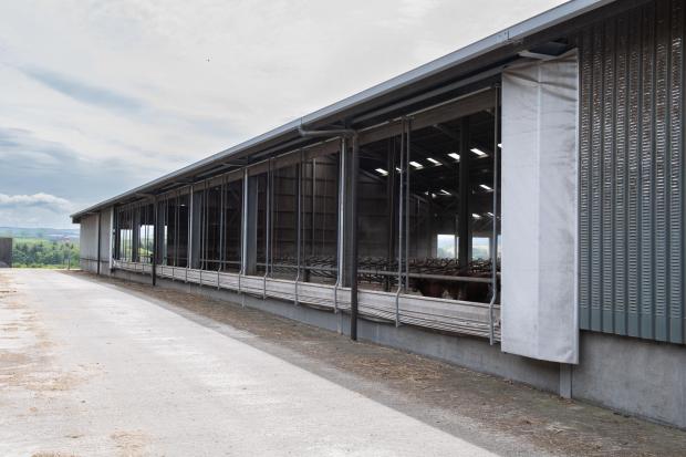 The Scottish Farmer: the cubical shed has a automatic curtain to allow air flow into the shed on the warmer days Ref:RH060622139 Rob Haining / The Scottish Farmer...