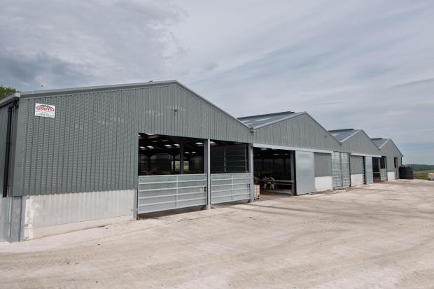 The Scottish Farmer: The new shed at Myremill, consists of straw bedded pens for weaned calves and slatted cubicles for the heifers and Dry cows Ref:RH060622132 Rob Haining / The Scottish Farmer...