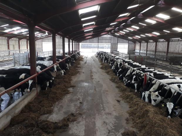 The Scottish Farmer: The main shed at High Plains which is run by the Vevers family 