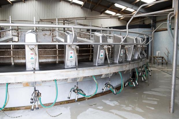 The Scottish Farmer: 40 point rotary milk parlour with in parlour feeders is used on the Firth herd Ref:RH020622089 Rob Haining / The Scottish Farmer...