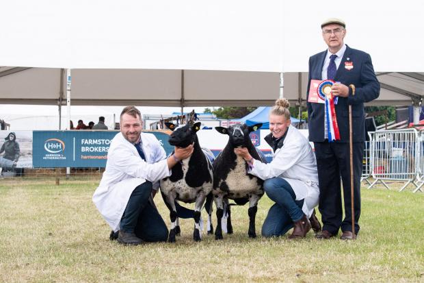 Inter-breed pairs champion were the Dutch Spotted from Ali Jackson Ref:RH260622021  Rob Haining / The Scottish Farmer