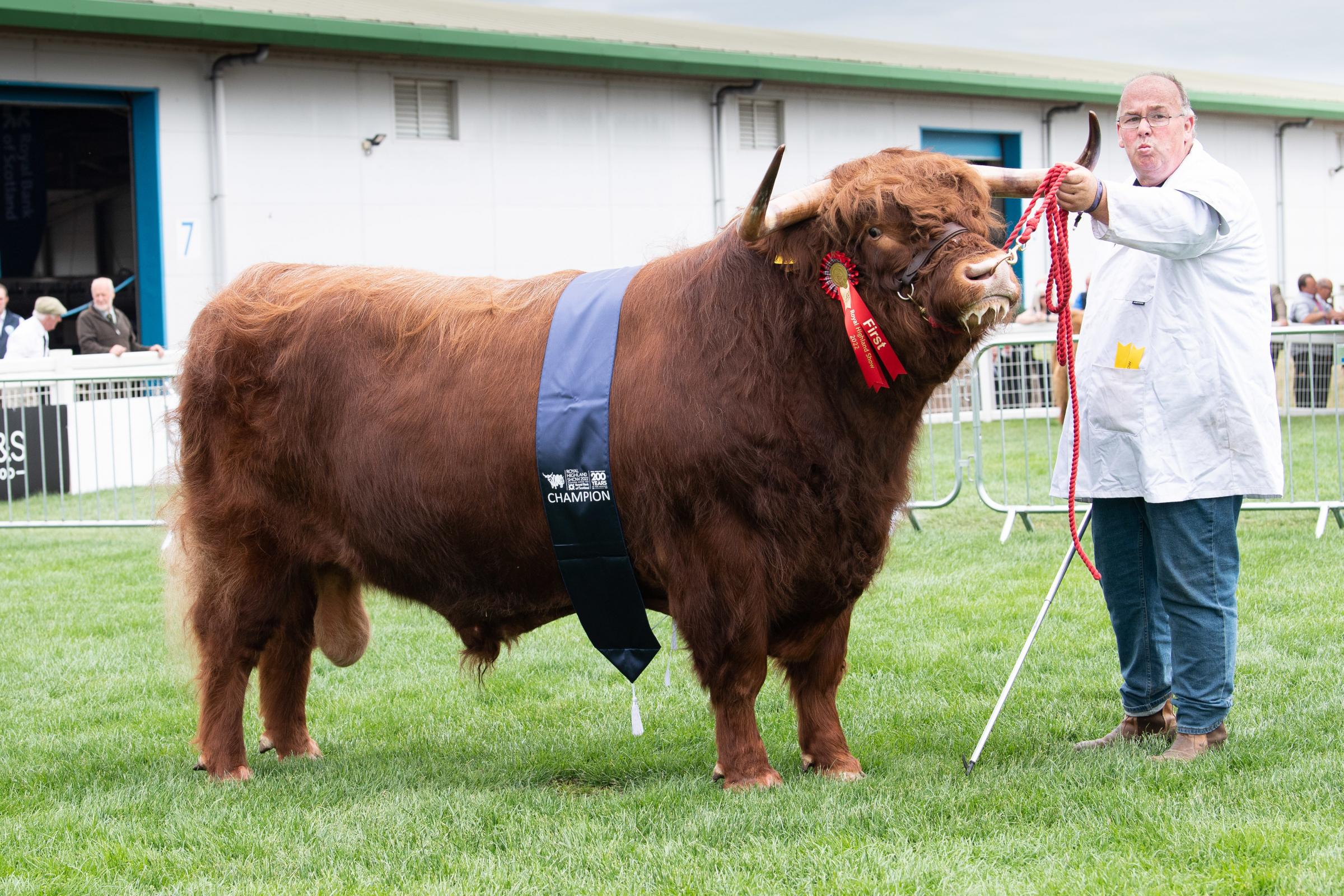Queens' local bull, Gurgurlach of Balmoral, was crowned champion at the 2022 Royal Highland Show.