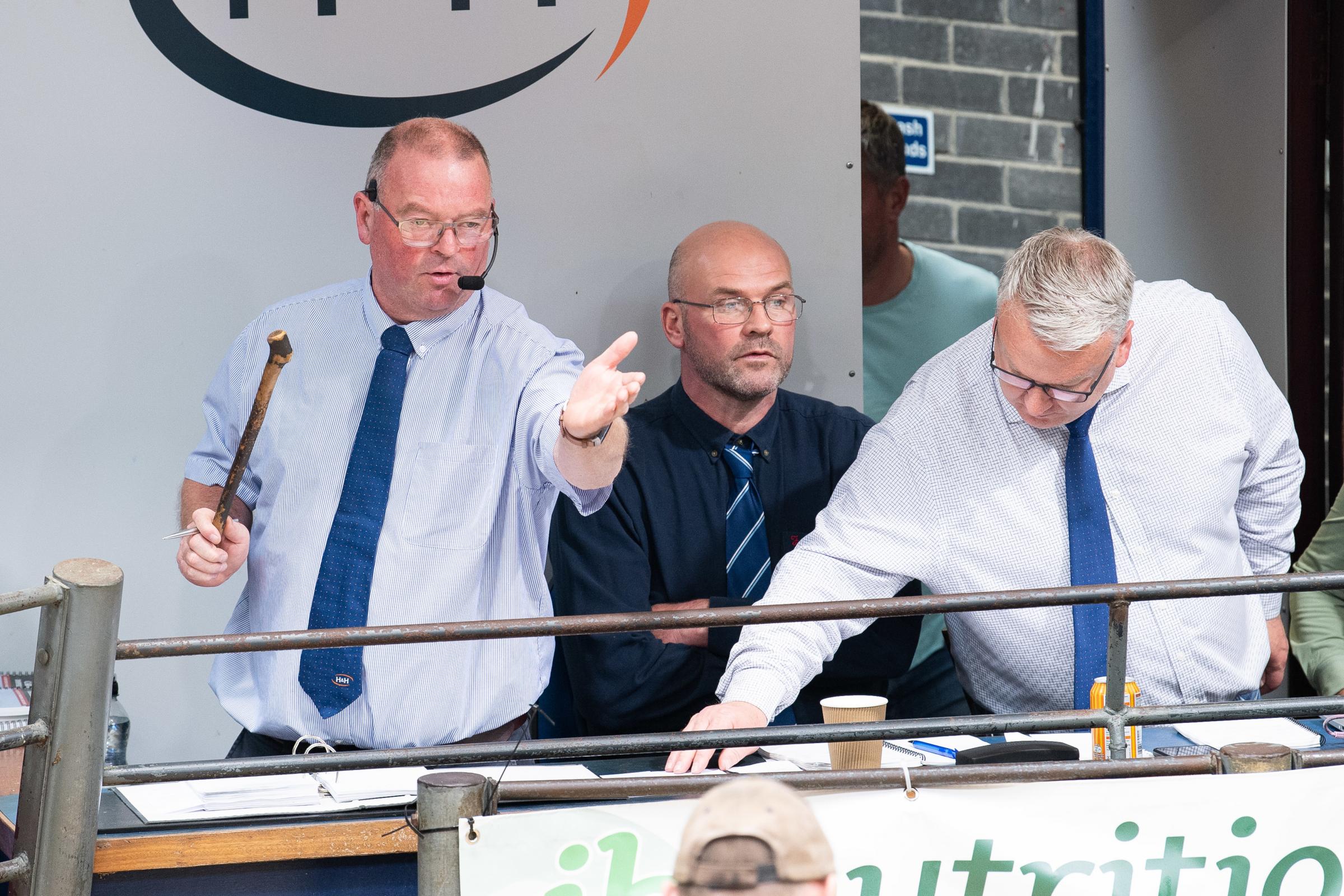 Auctioneer Andrew Templeton takes over the sale for Glyn Lucas Ref:RH290622185 Rob Haining / The Scottish Farmer...