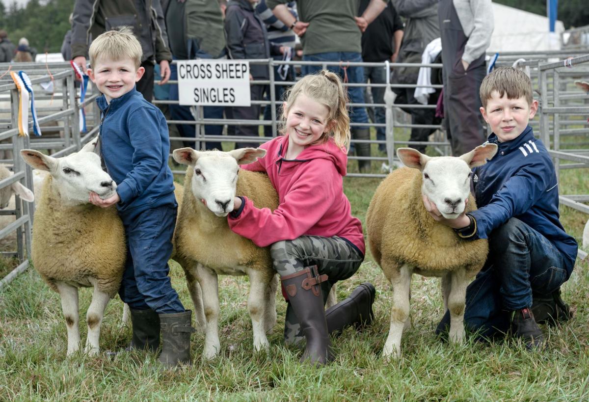 Following in his great grand-father's footsteps, Frankie Hood (13) Glenclova won the cross sheep championship, with assistance from his younger sister Heidi (10) and brother Hunter (5) after learning so much from the late