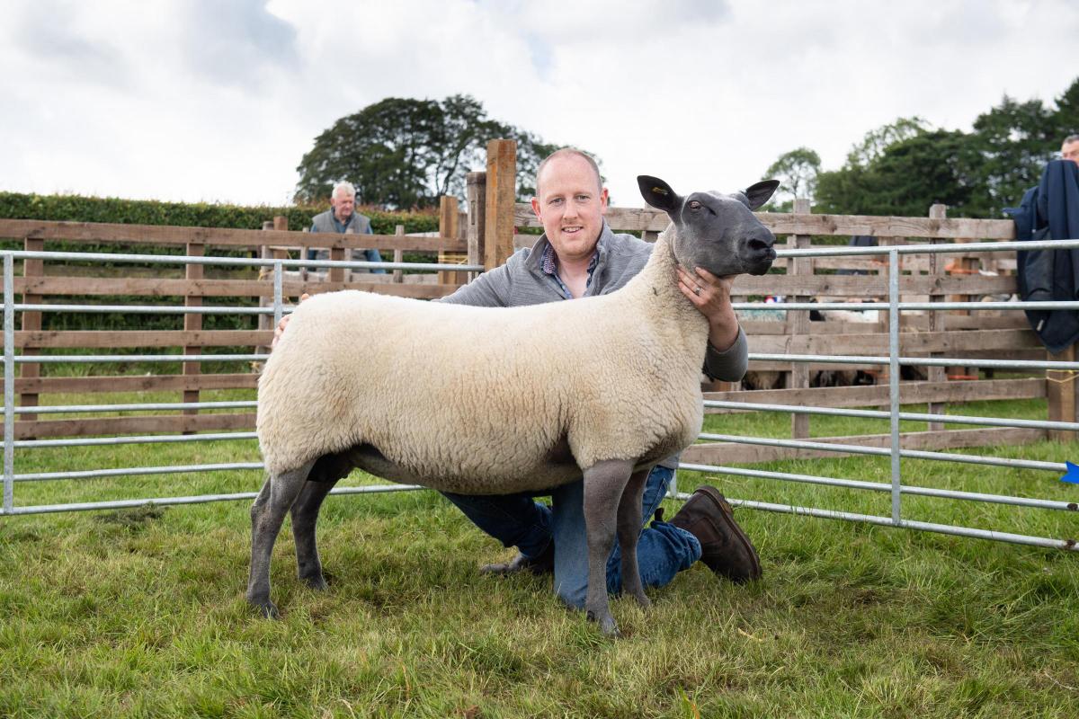 The overall sheep champion was from Laine Daff's Greenside flock Ref:RH180622067  Rob Haining / The Scottish Farmer...