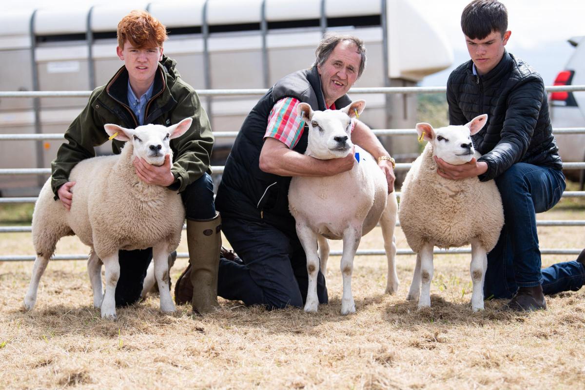 Commercial sheep champion was the cross ewe and her two lambs from the Aitken family Ref:RH020722077  Rob Haining / The Scottish Farmer...